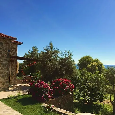 Orly's Villas * Chorefton