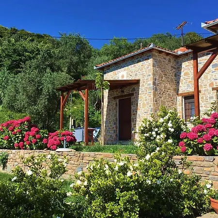 Hébergement de vacances Orly's Villas